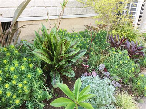 陰生植物 一覧|日陰でも育つ花と植物30種！日陰に強い花や葉が美しい植物を紹。